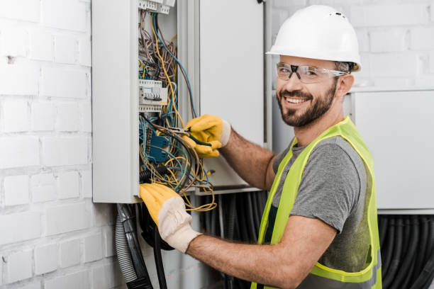 Best Local Electrician Companies  in Laurel Lake, NJ